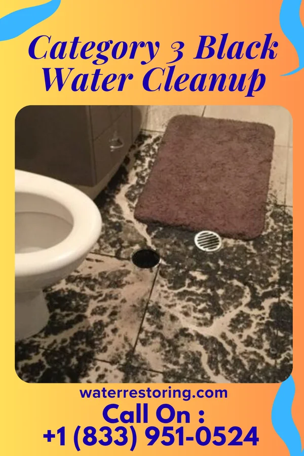 Category 3 Black Water Cleanup in Holly Springs, NC