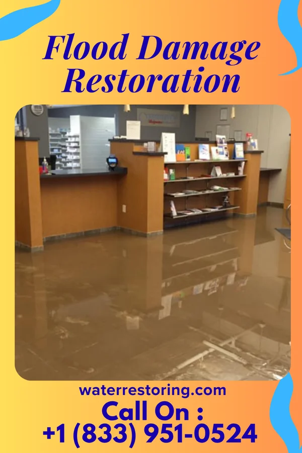 Flood Damage Restoration in Holly Springs, NC