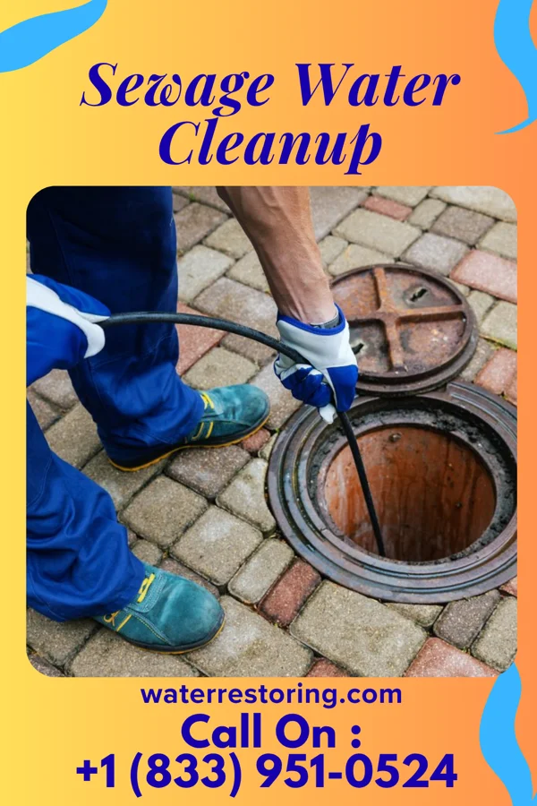 Sewage Water Cleanup in Holly Springs, NC